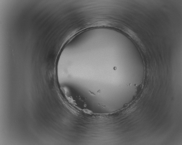 X0000067461234200604211532