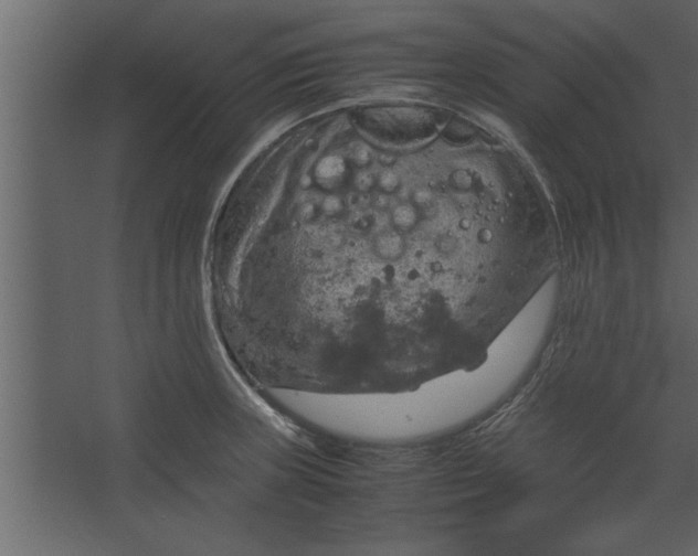 X0000067461235200604211532