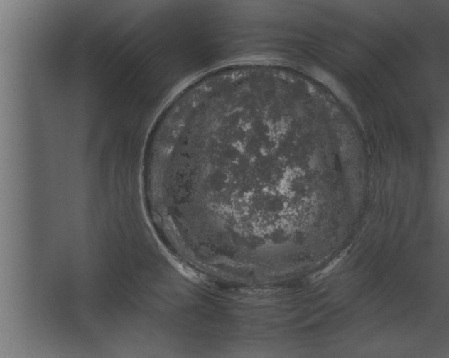 X0000067461237200604211532