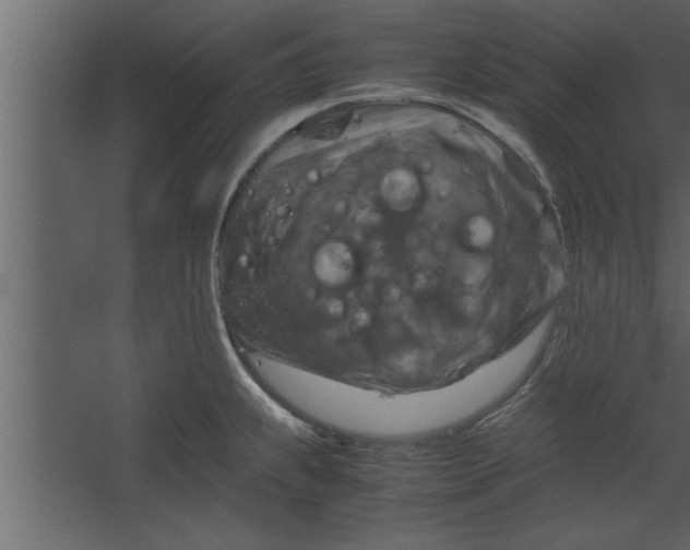 X0000067461239200604211533