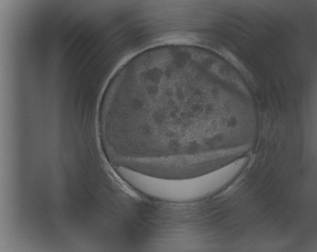 X0000067461240200604211533