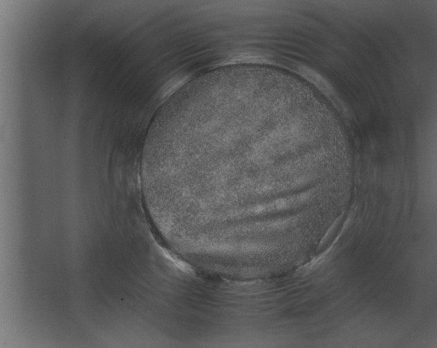 X0000067461241200604211533