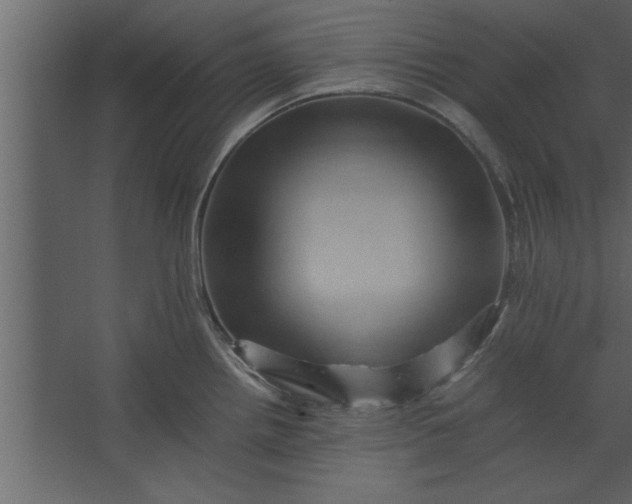 X0000067461242200604211533