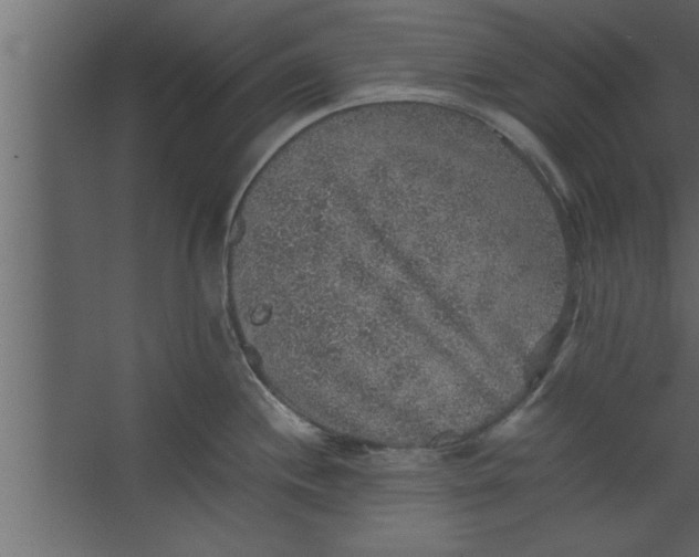 X0000067461244200604211533