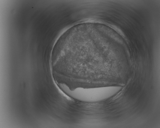 X0000067461247200604211533