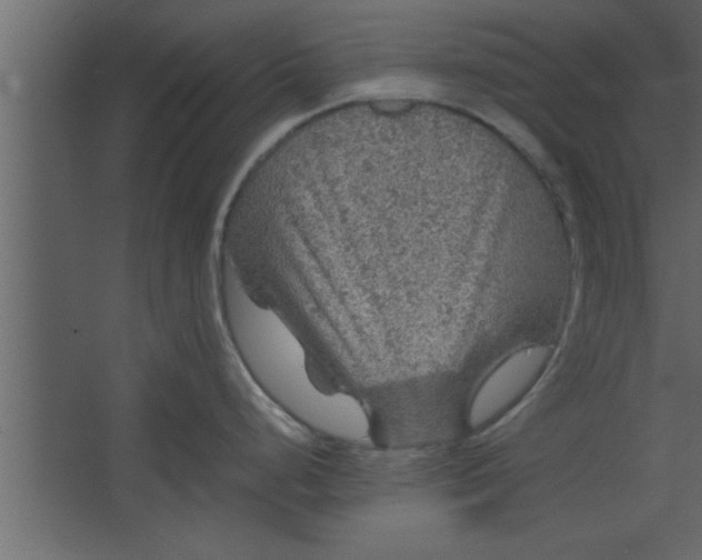 X0000067461248200604211533