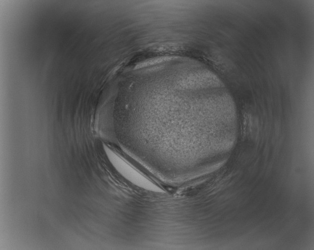 X0000067461250200604211532