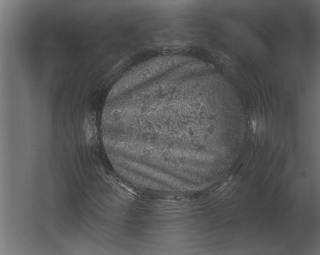 X0000067461252200604211532