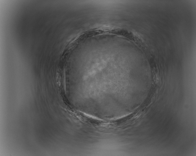 X0000067461253200604211532