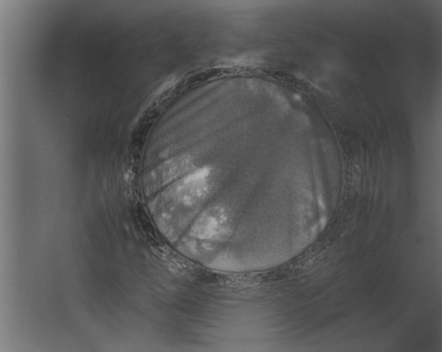 X0000067461254200604211532