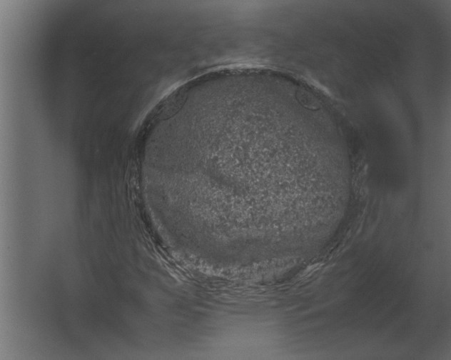 X0000067461255200604211532