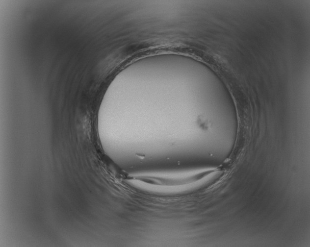 X0000067461257200604211532