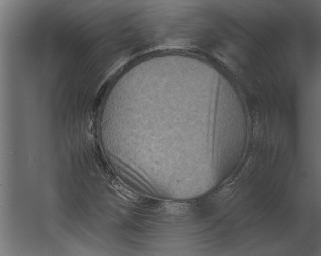 X0000067461258200604211532