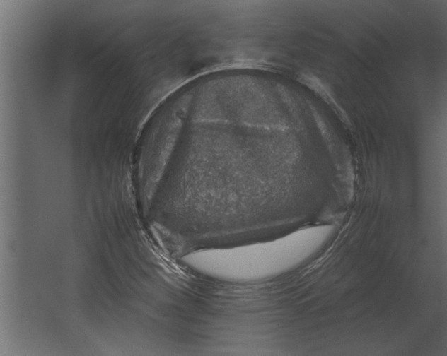 X0000067461260200604211532