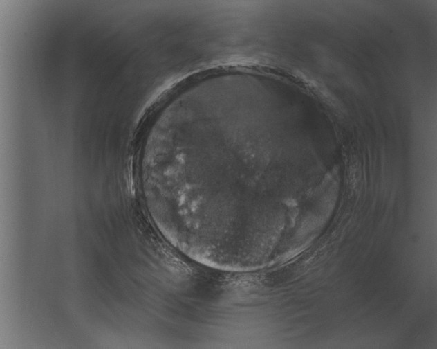 X0000067461262200604211532