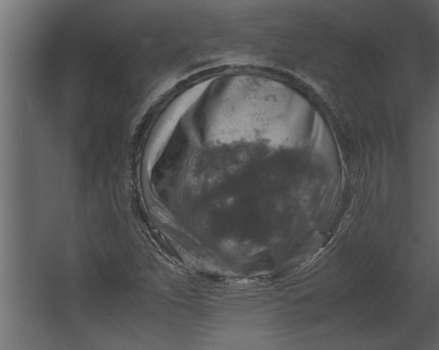 X0000067461263200604211532