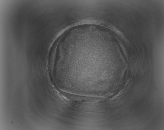 X0000067461264200604211532