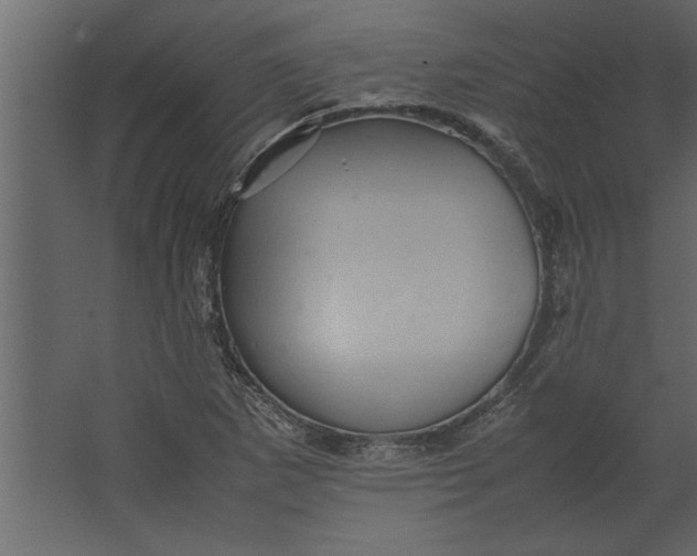 X0000067461265200604211532