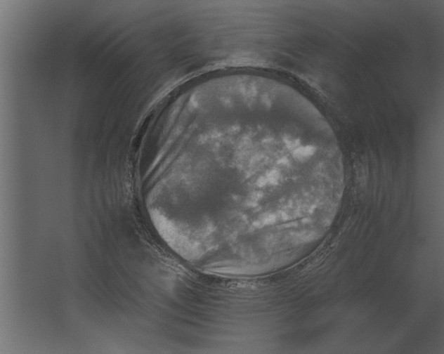 X0000067461266200604211532