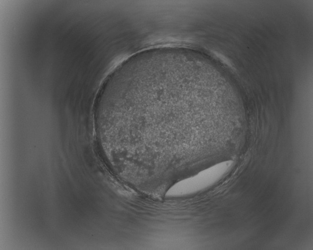 X0000067461267200604211532