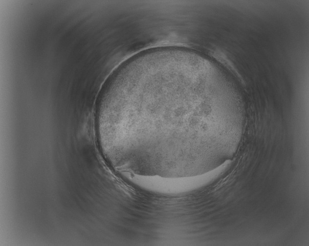 X0000067461268200604211532