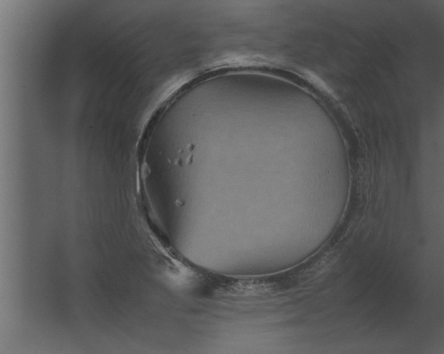 X0000067461269200604211532