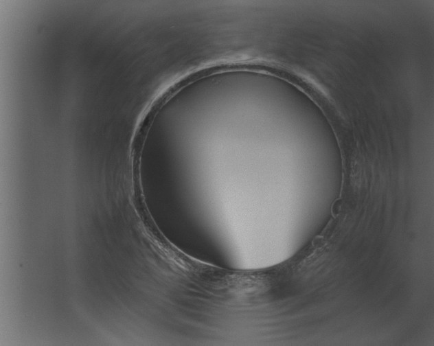 X0000067461270200604211531