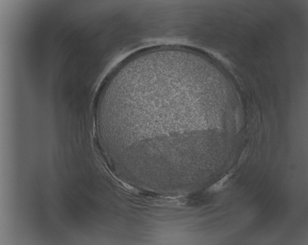 X0000067461271200604211531