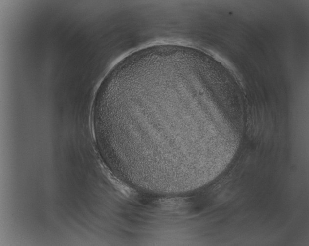 X0000067461272200604211531