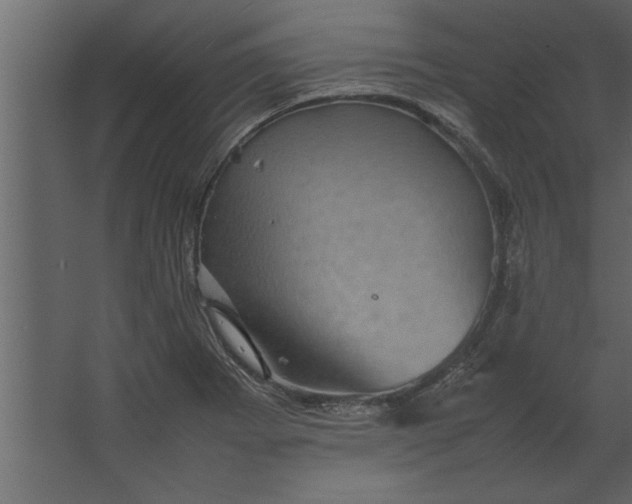 X0000067461273200604211531