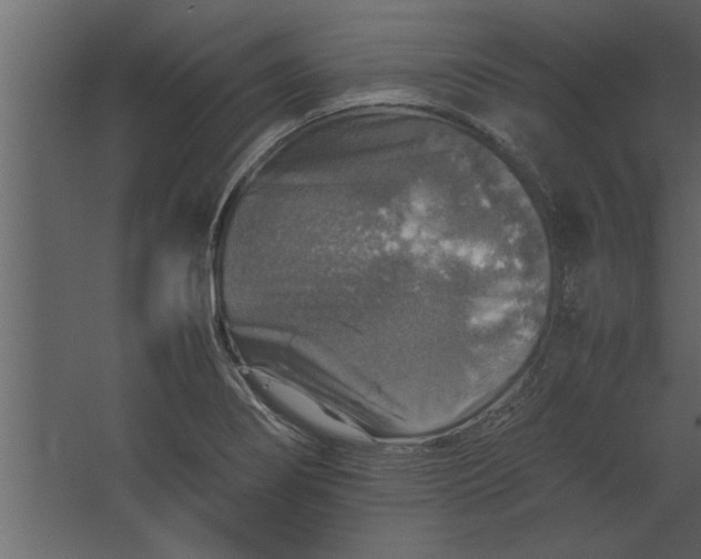 X0000067461274200604211531