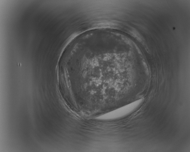 X0000067461275200604211531