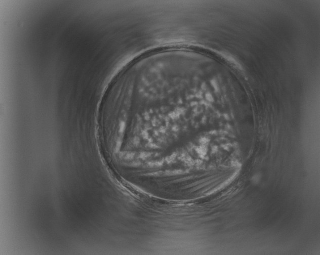 X0000067461279200604211531