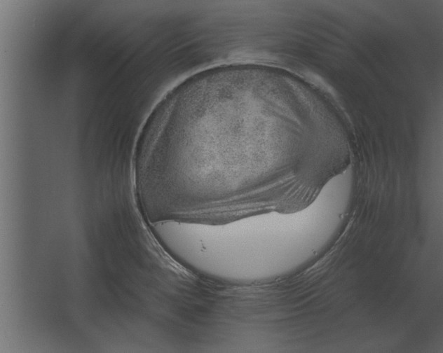 X0000067461280200604211531