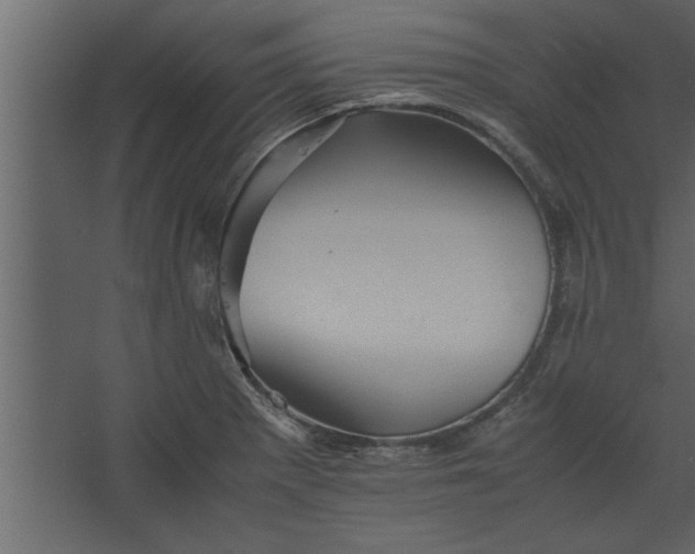 X0000067461281200604211531