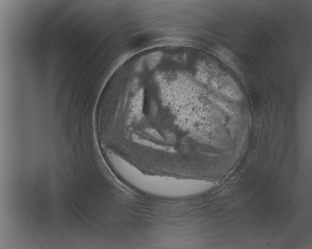 X0000067461283200604211531