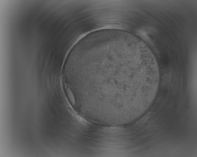 X0000067461284200604211531