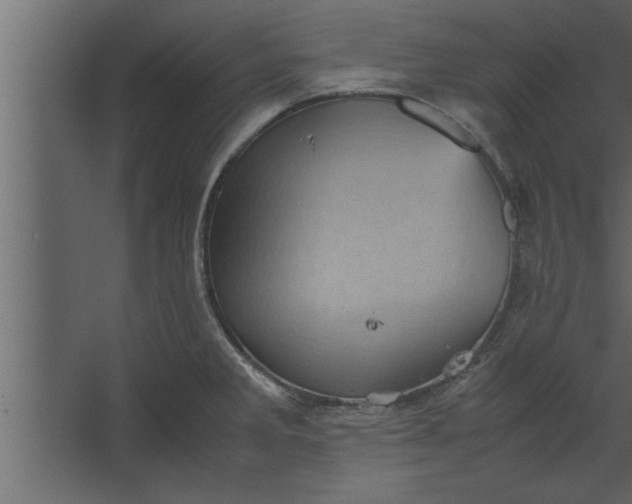 X0000067461285200604211531