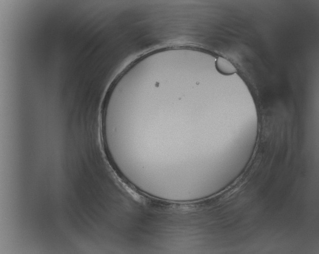 X0000067461286200604211531