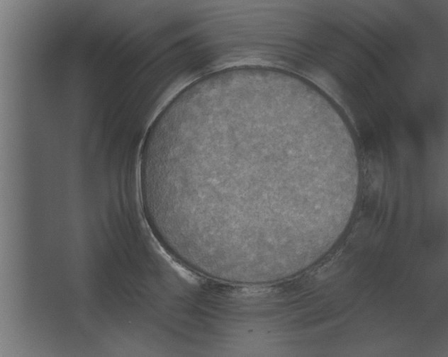 X0000067461290200604211531