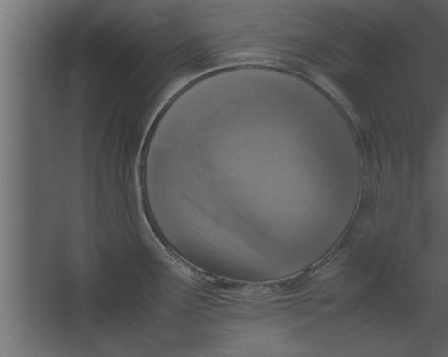 X0000067461291200604211531