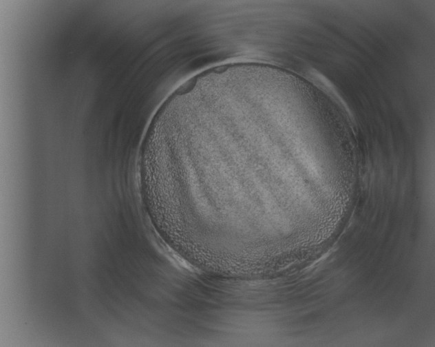 X0000067461292200604211531