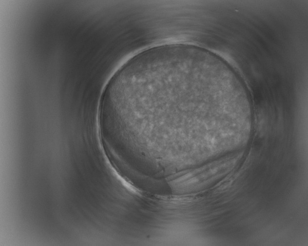 X0000067461294200604211531