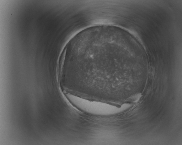 X0000067461295200604211531