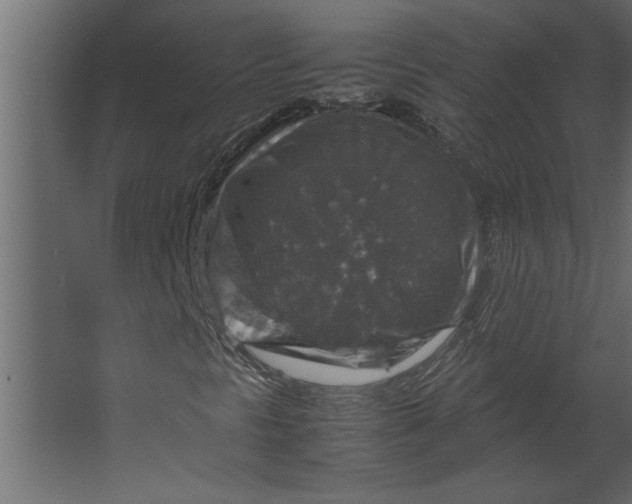 X0000067461297200604211530