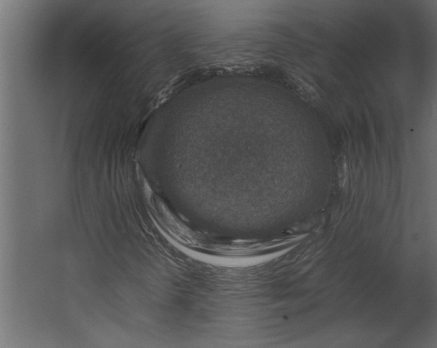 X0000067461298200604211530