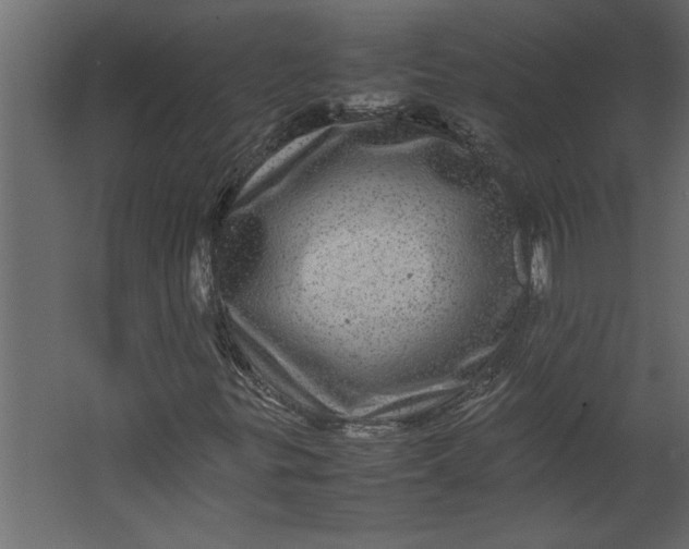 X0000067461299200604211530