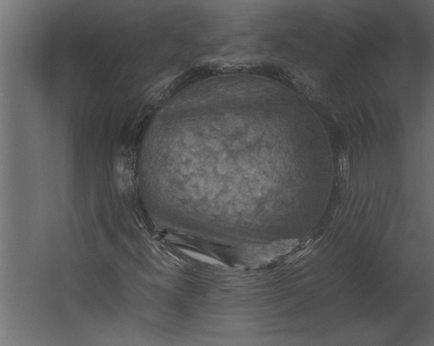 X0000067461300200604211530