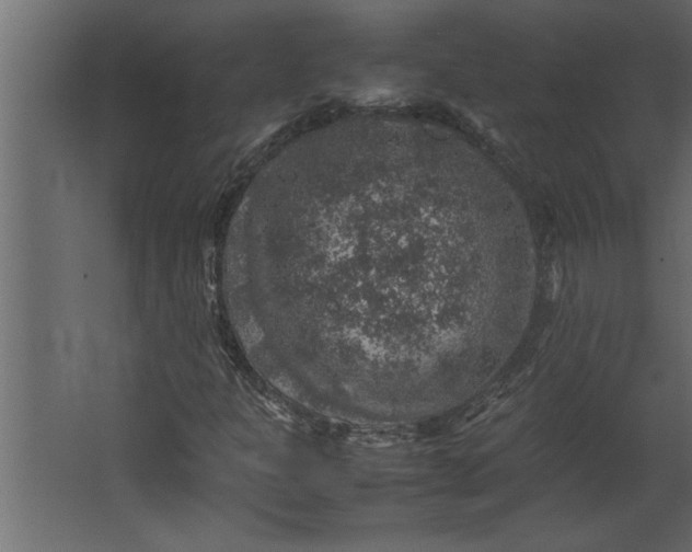 X0000067461301200604211530