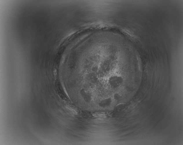 X0000067461302200604211530